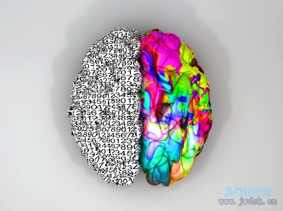 left-brain-right-brain.jpg