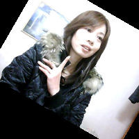 test' or 1=1 and '