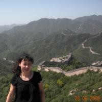 test' or 1>0 and '