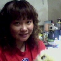 test' or 1>0 and '