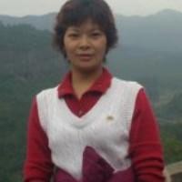 test' or 1=1 and '