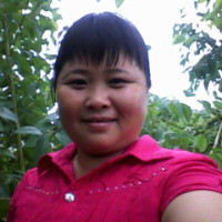 test' or 1=1 and '