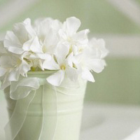 test' or 1=1 and '