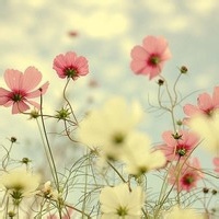 test' or 1>0 and '