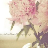 test' or 1=1 and '