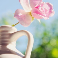 test' or 1>0 and '