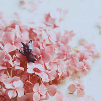 test' or 1=1 and '