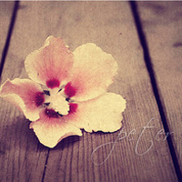 test' or (1) and '