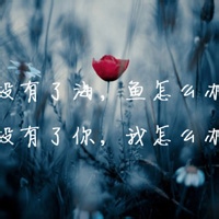 ncMUFCMU