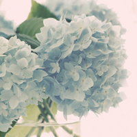 test' or (1) and '