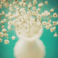 test' or (1) and '