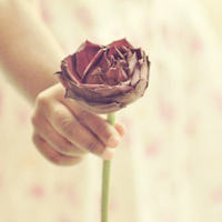 test' or 1>0 and '