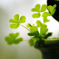 test' or 1>0 and '