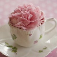 test' or (1) and '