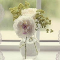 test' or (1) and '