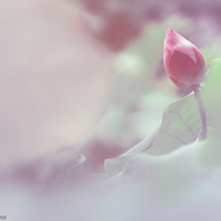 test' or 1=1 and '
