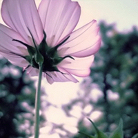 test' or 1>0 and '