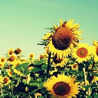 test' or 1=1 and '