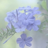 test' or 1>0 and '