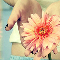 test' or 1=1 and '
