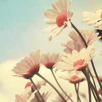 test' or (1) and '