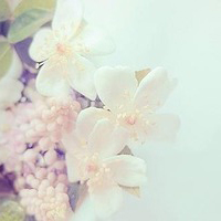 test' or 1=1 and '