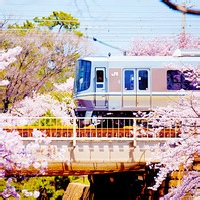 test' or 1>0 and '