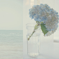 test' or 1=1 and '