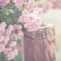 test' or 1>0 and '