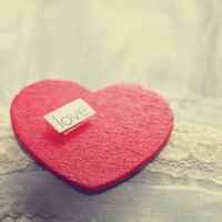test' or 1>0 and '