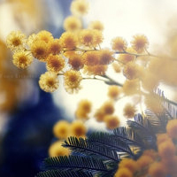 test' or 1>0 and '