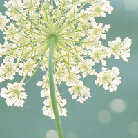test' or 1>0 and '