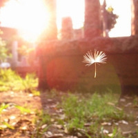 test' or 1>0 and '