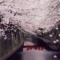 test' or (1) and '