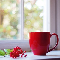 test' or (1) and '