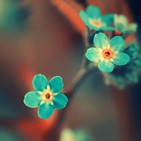 test' or 1=1 and '