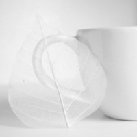 test' or 1=1 and '