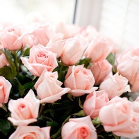 test' or 1=1 and '