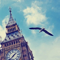 test' or (1) and '