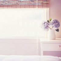 test' or 1>0 and '