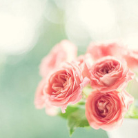 test' or 1>0 and '