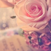 test' or 1>0 and '