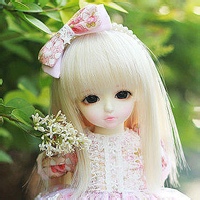test' or 1=1 and '