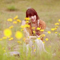 test' or 1>0 and '