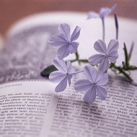 test' or 1=1 and '