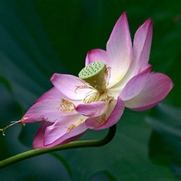 test' or 1=1 and '