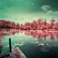 test' or (1) and '