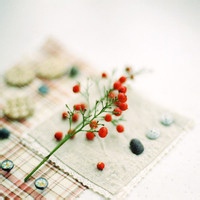 test' or 1=1 and '