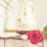 test' or 1>0 and '