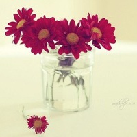test' or 1=1 and '